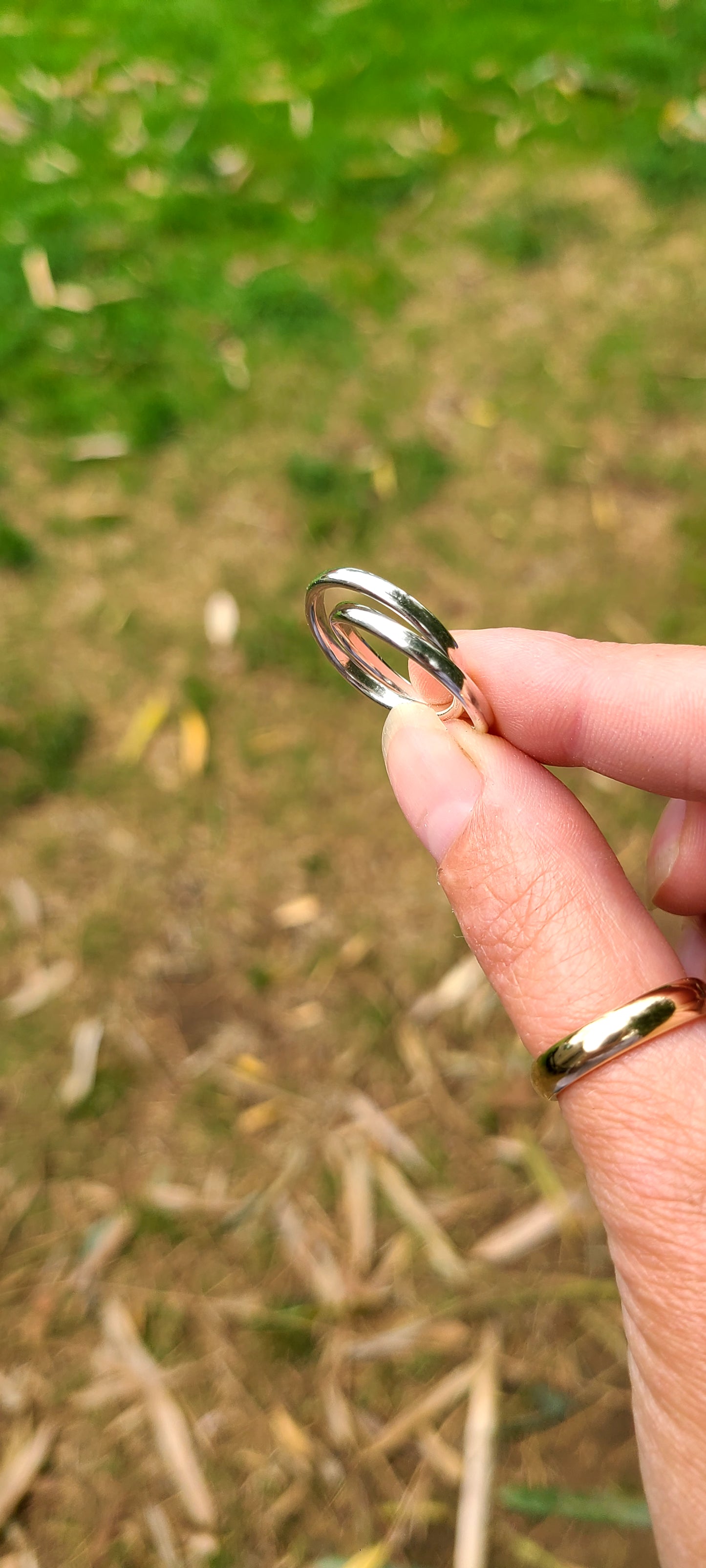 La bague Coexistence
